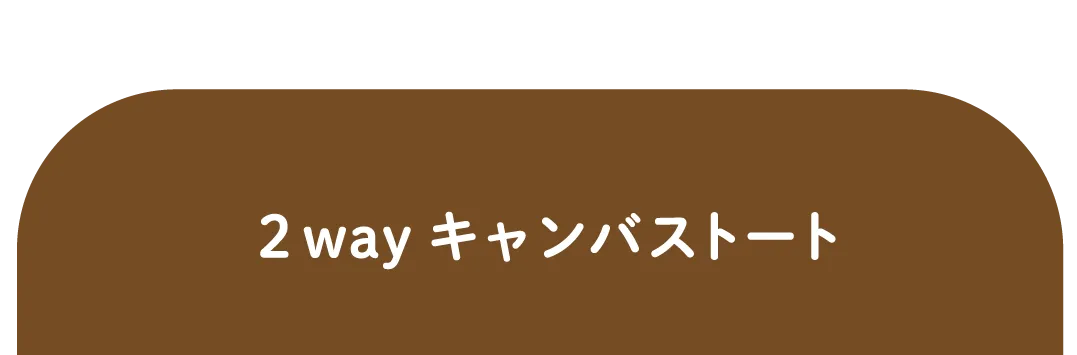 2wayキャンバストート