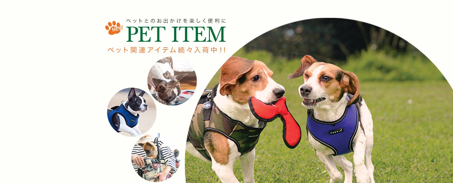 PET ITEM