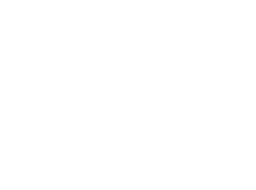 Salon de Ruban 2023SS Collection