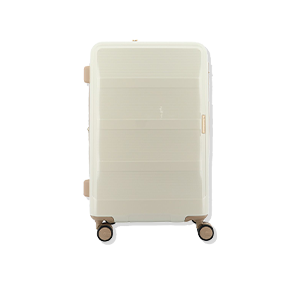 CARRY CASE