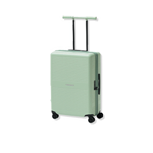 CARRY CASE