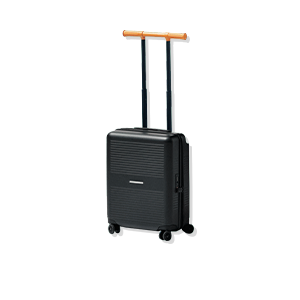 CARRY CASE