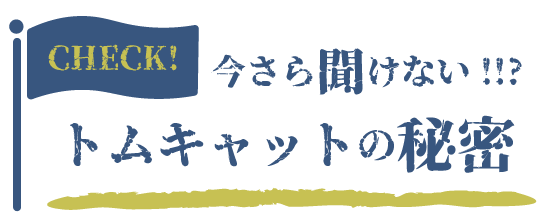 今更聞けない！トムキャットの秘密