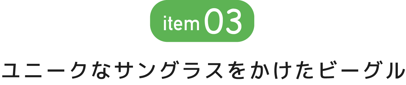 ユニークなサングラスをかけたビーグル