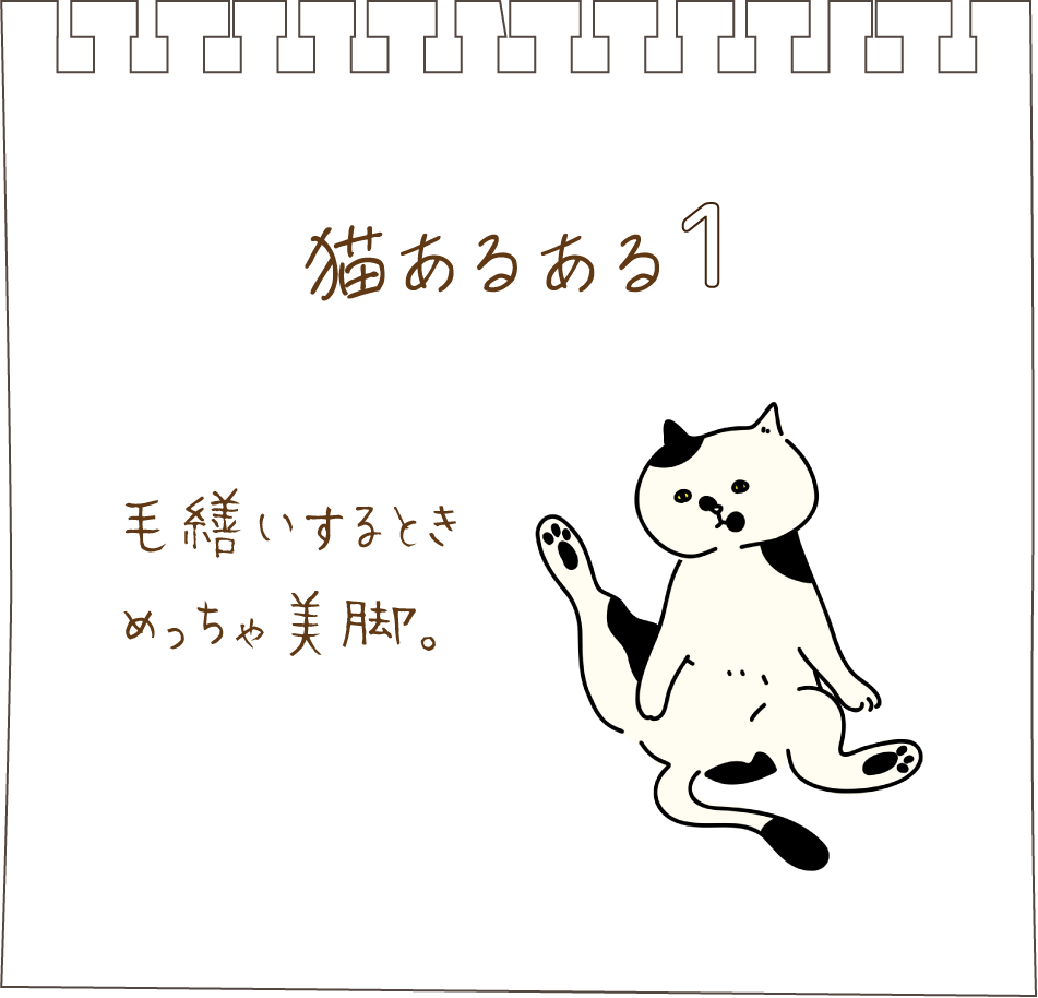 猫あるある０１