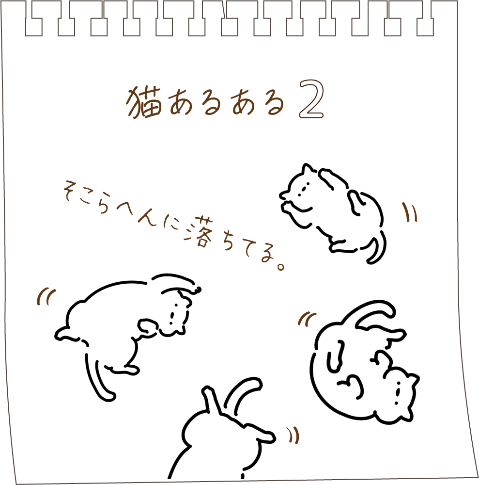 猫あるある０2