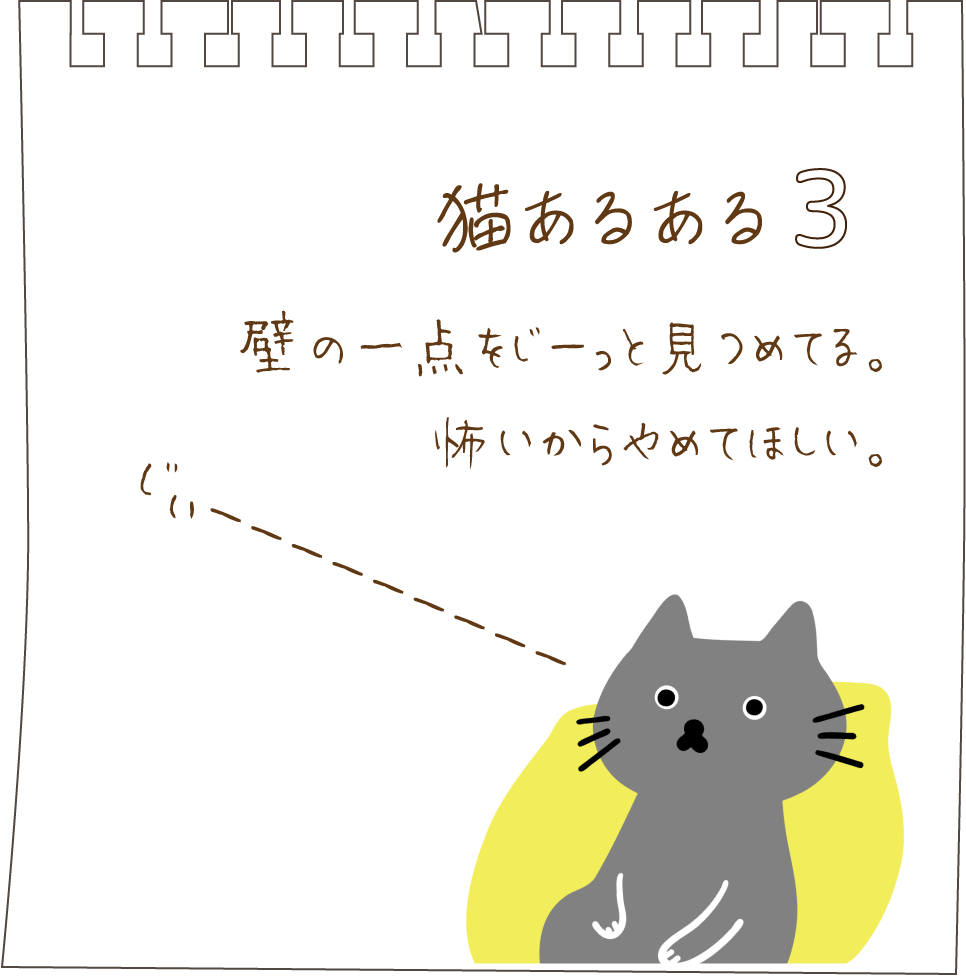 猫あるある０3