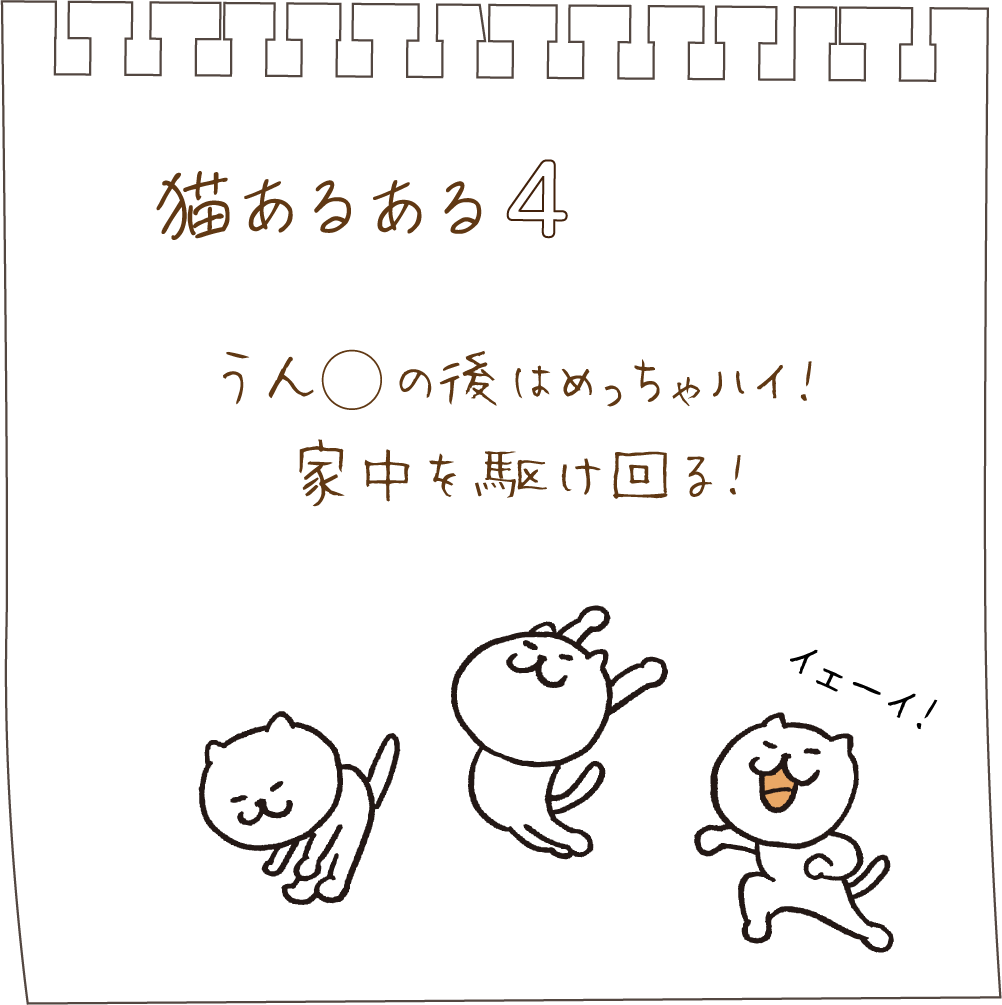 猫あるある０４