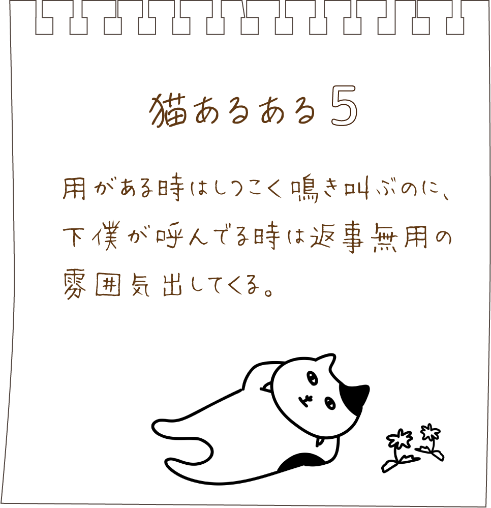 猫あるある０５