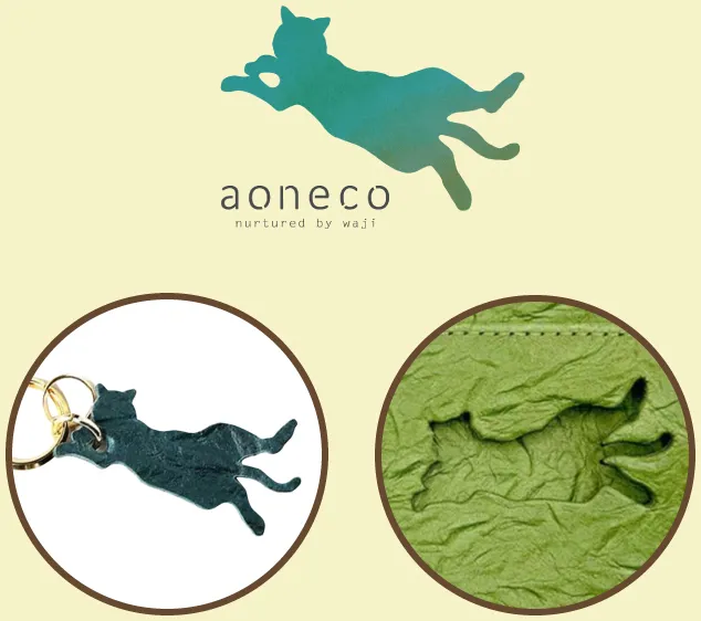 aonekoトップ画像