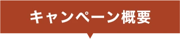 キャンペーン概要