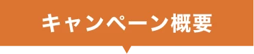 キャンペーン概要