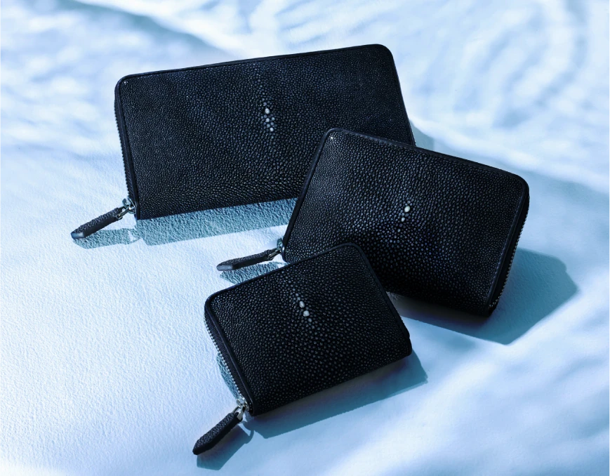 スティングレイメインビジュアル