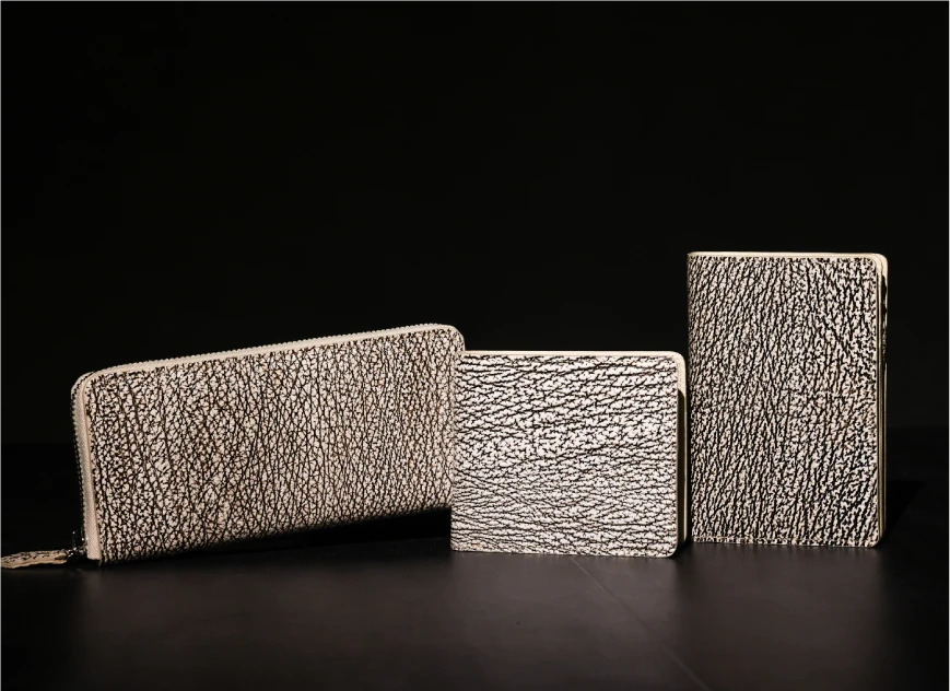 スティングレイメインビジュアル