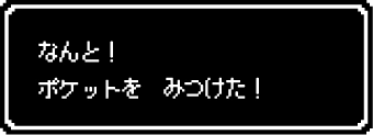 なんと！ポケットを見つけた！