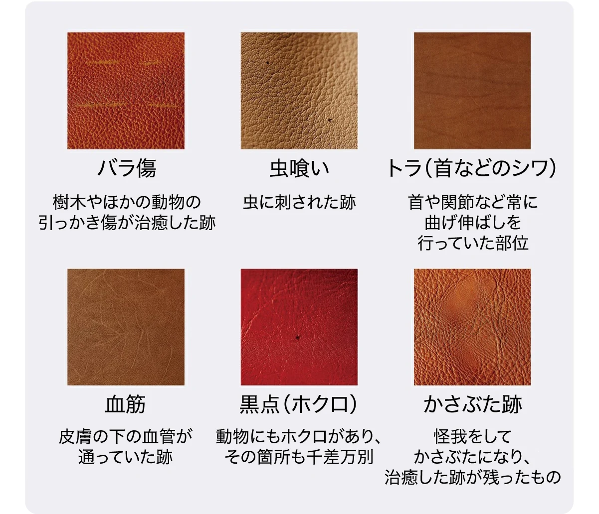傷の種類