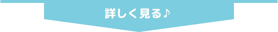 詳しく見る