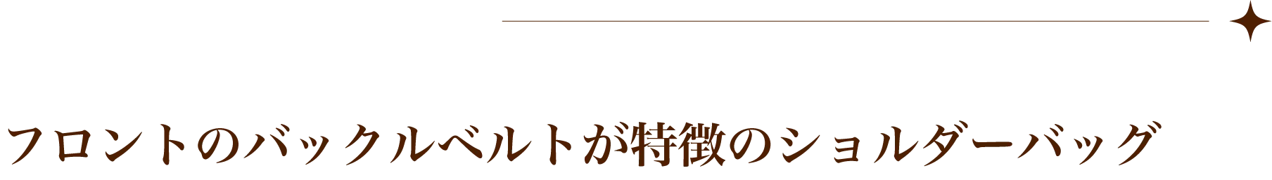 フロントのバックルベルトが特徴のショルダーバッグ